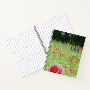 Feld mit Bench EDS-Notebook Notizblock