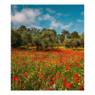 Feld mit Blume und Bäumen Fotodruck