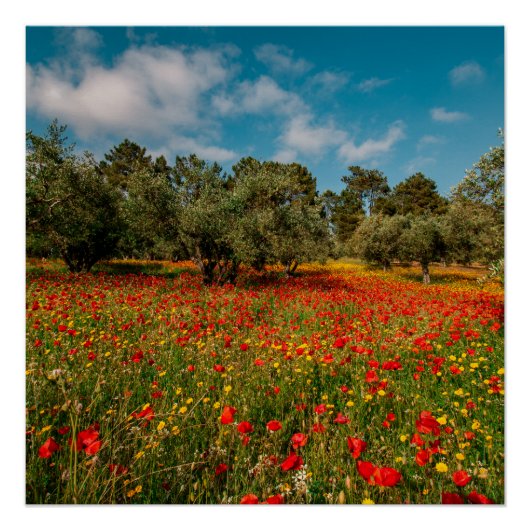 Feld mit Blume und Bäumen Poster (Vorderseite)