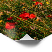Feld mit Blume und Bäumen Poster (Ecke)