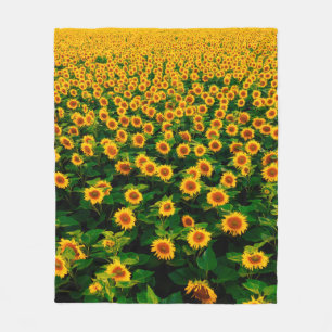 Feld mit hellgelben Sonnenblumen an sonnigen Tagen Fleecedecke