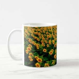 Feld mit hellgelben Sonnenblumen an sonnigen Tagen Kaffeetasse