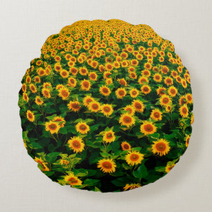 Feld mit hellgelben Sonnenblumen an sonnigen Tagen Rundes Kissen