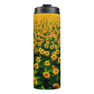 Feld mit hellgelben Sonnenblumen an sonnigen Tagen Thermosbecher