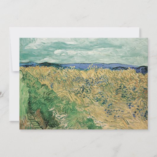 Feld mit Kornblumen | Vincent van Gogh (Vorderseite)