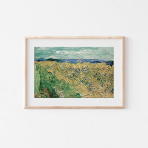 Feld mit Kornblumen   Vincent van Gogh Poster