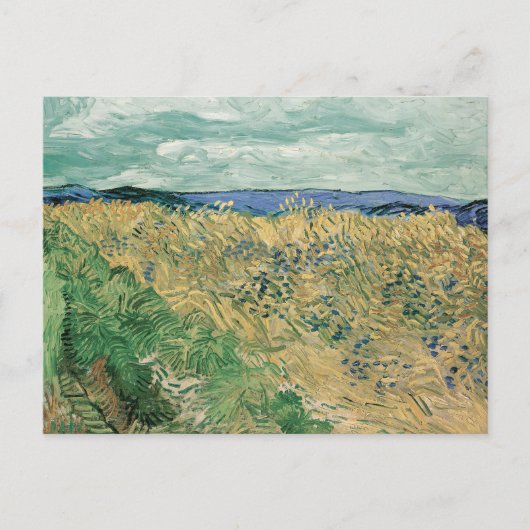 Feld mit Kornblumen | Vincent van Gogh Postkarte (Vorderseite)