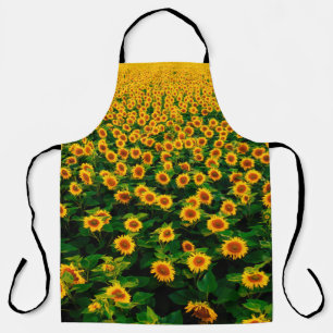 Feld mit leuchtend gelben Sonnenblumen an einem so Schürze