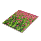 Feld mit rosa Tulpen Fliese (Seite)