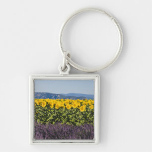Feld mit Sonnenblumen und Lavendelblüten, Schlüsselanhänger