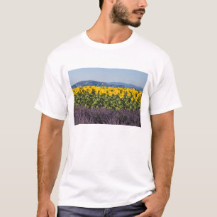 Feld mit Sonnenblumen und Lavendelblüten, T-Shirt