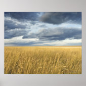 Feld mit Sturmwolken Poster (Vorne)