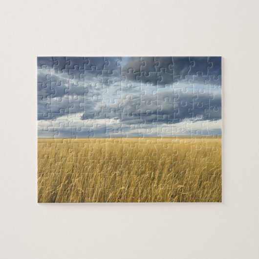 Feld mit Sturmwolken Puzzle (Horizontal)