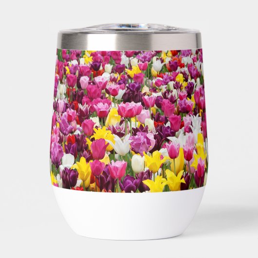 Feld mit Tulpen (Vorderseite)