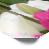 Feld mit Tulpen Fotodruck (Ecke)