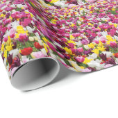 Feld mit Tulpen Geschenkpapier (Rolleneckpunkt)
