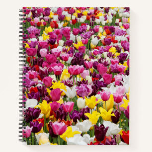 Feld mit Tulpen Notizblock