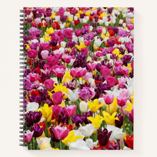Feld mit Tulpen Notizblock (Vorderseite)