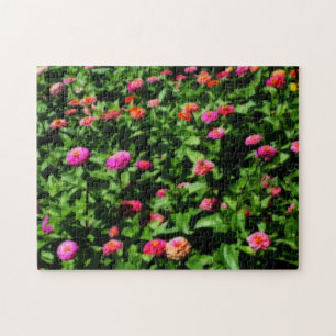Feld mit Zinnienblumen Orton Art Effekt Puzzle