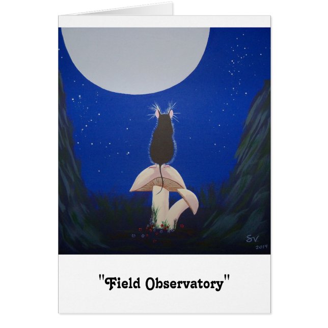 "Feld-Observatorium " (Vorne)