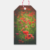 Feld Poppies Geschenkanhänger (Vorderseite)