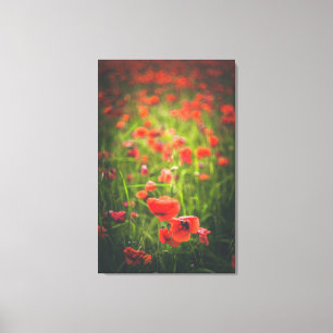 Feld Poppies Leinwanddruck