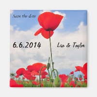 Feld Poppies