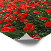 Feld roter Mohnblumen Poster (Ecke)