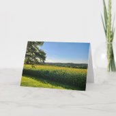 Feld "Sonnenblumen" Dankeskarte (Vorderseite)