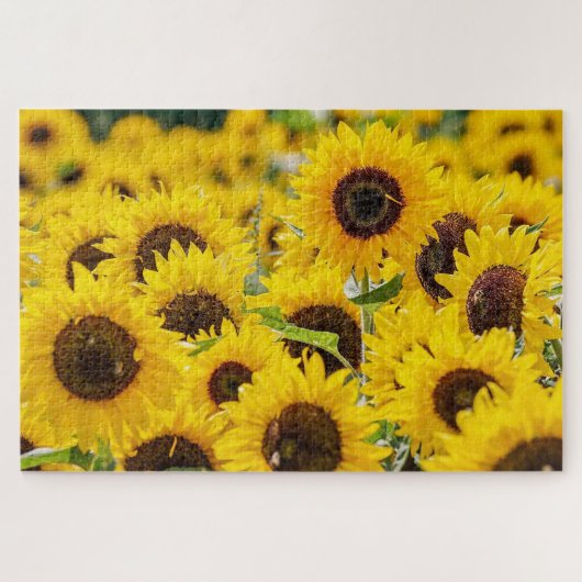 Feld Sonnenblumen Design Jigsaw Puzzle (Horizontal)