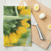 Feld Sonnenblumen Küchentuch (Viertel Falte)