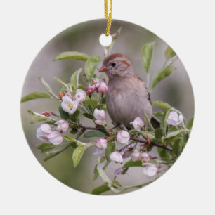 Feld-Spatz Keramik Ornament
