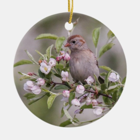 Feld-Spatz Keramik Ornament (Vorne)
