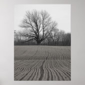 Feld und Baum Poster (Vorne)