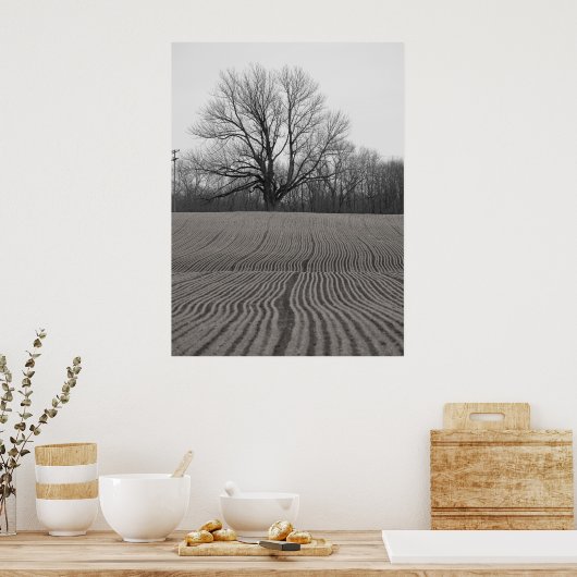 Feld und Baum Poster (Küche)