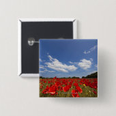 Feld voll der roten Blumen Button (Vorne & Hinten)