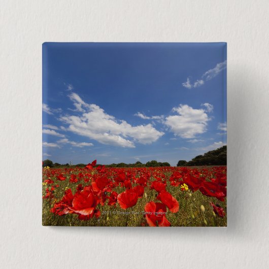 Feld voll der roten Blumen Button (Vorderseite)