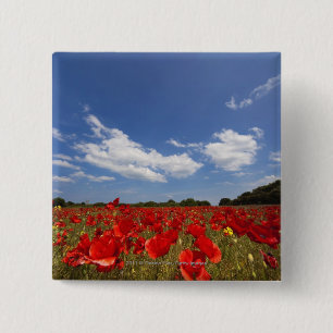 Feld voll der roten Blumen Button