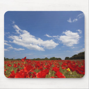 Feld voll der roten Blumen Mousepad
