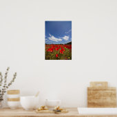 Feld voller roter Blume Poster (Küche)