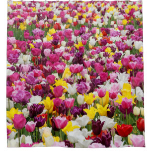 Feld voller Tulpen Duschvorhang