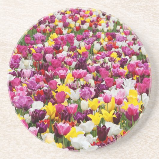 Feld voller Tulpen Getränkeuntersetzer (Vorne)