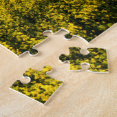 Feld von Canola in spätlichtem Abend Puzzle (Seite)