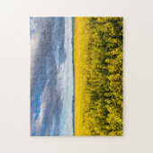 Feld von Canola in spätlichtem Abend Puzzle (Vertikal)