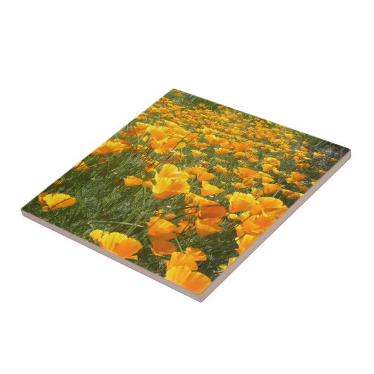 Feld von Träumen Fliese (Seite)