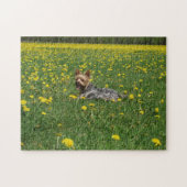 Feld von Yorkie Puzzle (Horizontal)