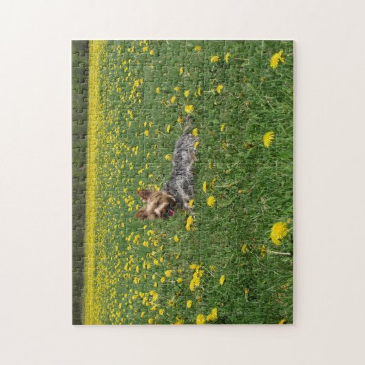 Feld von Yorkie Puzzle (Vertikal)