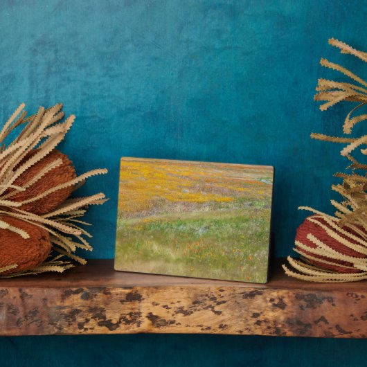 Feld Wildblume Fotoplatte (Seite)