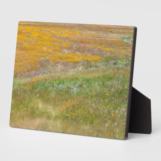 Feld Wildblume Fotoplatte (Seite)