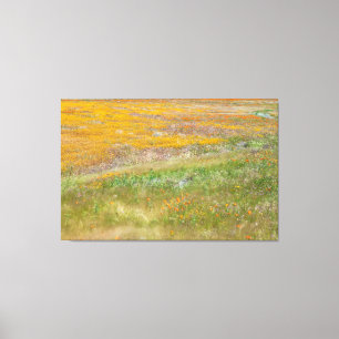 Feld Wildblume Leinwanddruck